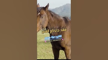 القرآن الكريم كما لم تسمعها من قبل 🍃💟💕💘بصوت الشيخ حمزة مدبوح ♥️💘🌺