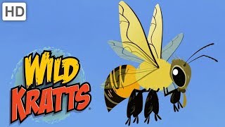 Wild Kratts  The Toughest Honey Bees | Kids Videos