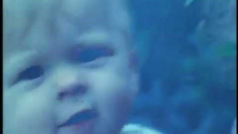 Real Estate / Past Lives