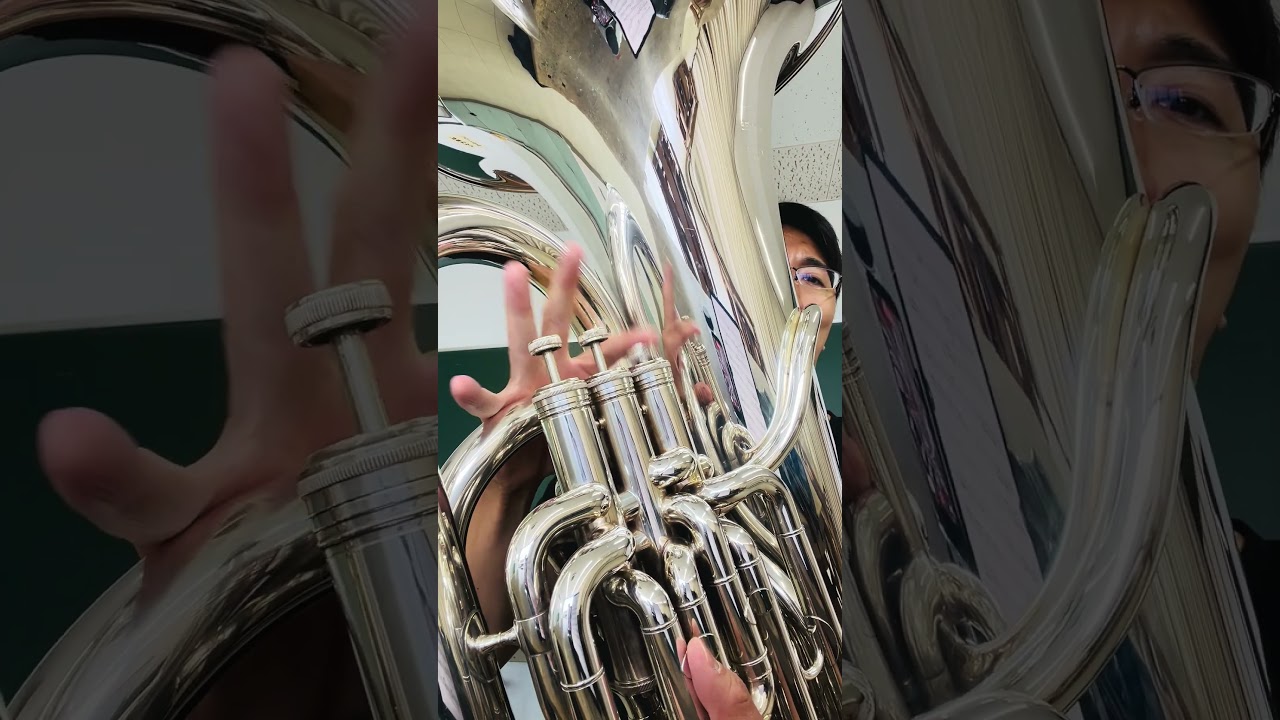 The Tuba live is on 29th Aug at Casa Classca! #チューバ #tuba