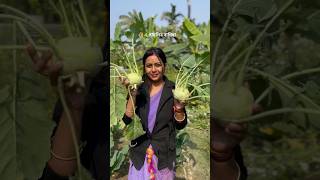 Amar Pasolir Bagisa আমাৰ খেতি