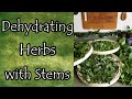 Leaving Stems on Herbs When Dehydrating