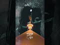 جدي يحب عليًا يــــــــا ؏ـــــلي 💚