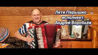 Лети перышко. Исполняет Андрей Воробьёв.