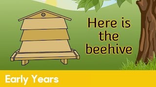 Here is the beehive | Early Years – Nursery Rhymes Net Worth
