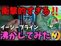 検証！メダカ愛好家が望むめだか稚魚の生き餌なのか？イージーブラインシュリンプを沸かしてみた結果が衝撃的！親ベトナム産ブラインシュリンプ（アルテミア）と比べてみた！安らぎAQUAちゃんねる