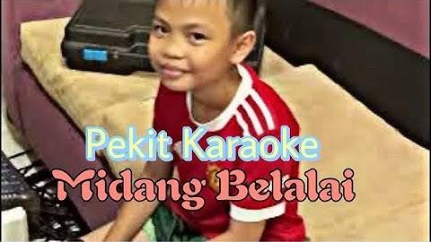 Midang Belalai - Alex Wan ( berpekit cover lagu) - Ngiling bidai 2025