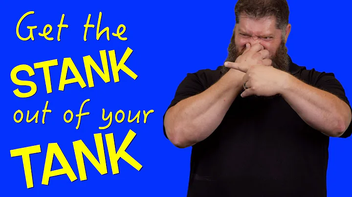 Remove RV black tank odor