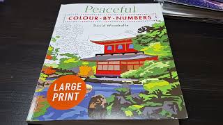 FLIP THROUGH - COLOUR BY NUMBERS LARGE PRINT - DAVID WOODROFFE - PEACEFUL