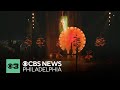 Summer Beat: Cirque du Soleil returns to Philadelphia area