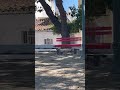 Staying active and fit 😁 #tavira #algarve #portugal #healthy #stayingfit #workout #foryou #viral