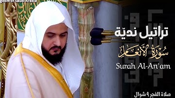 تراتيل عذبة لفواتح سورة الأنعام للشيخ د. عبدالله القرافي ~ صلاة الفجر 9 شوال 1446هـ