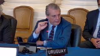 2022 Jul 13 Regular Meeting of the Permanent Council