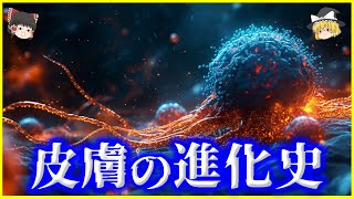 【ゆっくり解説】皮膚の弱い人間が繁栄した理由とは…生物の「皮膚の進化史」を解説/そもそも皮膚とは何か？