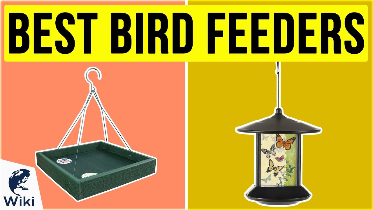 10 Best Bird Feeders 2020 YouTube