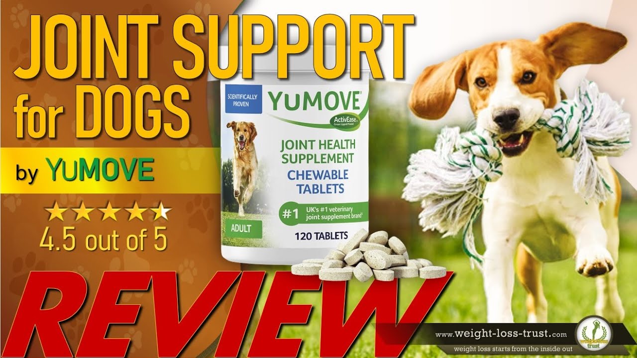 YuMOVE Hip and Joint Support for Dogs REVIEW Senior Dog Joint