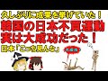 【ゆっくり解説】韓国さん、日本不買が大成功だった！でも何だか輸出管理がどうとか言ってますね、そんな事気にしないで日本不買を徹底して下さい、お願いします【輸出管理強化】