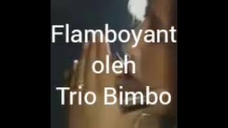 flamboyant-trio bimbo dan iin