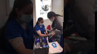 Online Phlebotomy Technician Classes - Live