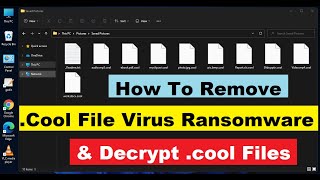 Details Cool Virus Ransomware. How To Remove .Cool Virus. Decrypt Cool Files. Cool File Recovery Update