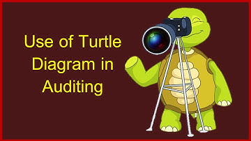 Process Audit through Turtle Diagram