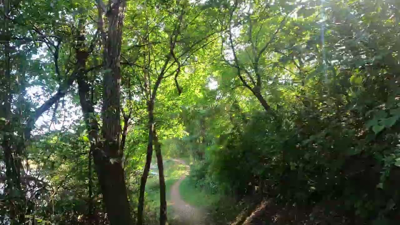 Rocky Gap - Lakeside Loop Trail - Section 4 - 2024-08-15