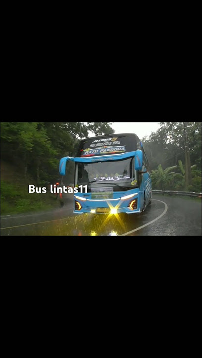 RATU PANDORA BUS ARTIS TELOLET PT ASYROF FADEL ALI PULANG DARI PANGANDARAN FULL TELOLET