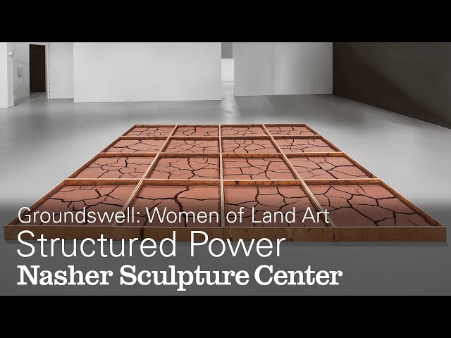 創作人形・ウーマンドレイクの標本「同じ土の記憶（Shared Soil