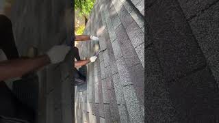 Attempt repair on a brittle roof
