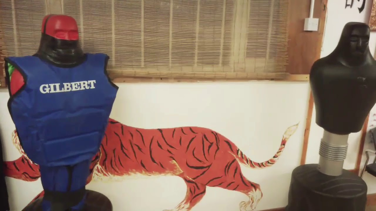 DRAGONSTYLE IRELAND VIRTUAL TOUR