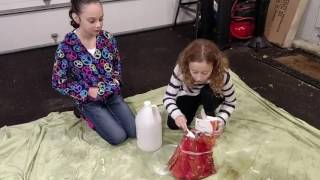 Ava and Briana 5th Grade Volcano Eruption Project