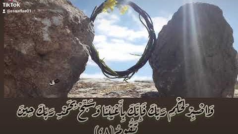 سورة الطور (٤٨-٤٩) وديع اليمني