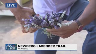 On the Go with Joe at Newberg Lavender Trail