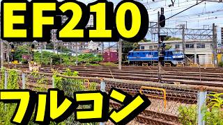 【新鶴見信号場】EH500・EF210が続々登場！貨物列車の大集結と通過風景