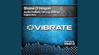 Wrong Settings (Original Mix)