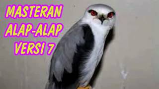 Download Lagu DOWNLOAD SUARA MASTERAN BURUNG ALAP-ALAP VERSI 7 FULL HD MP3