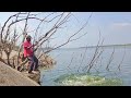 100 professional fishing in river catching big 7kg6kg  4kg  rohu fishes  single hook fishing