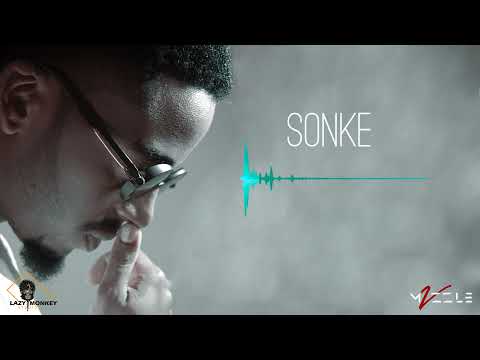 Mvzzle - Sonke (feat. Mthandazo Gatya & DJ NelCee) [Visualizer]