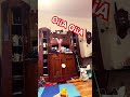OiiA OiiA spinning cat (moja wersja)#dance #cat