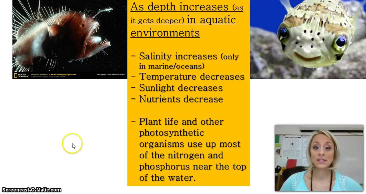 aquatic zones props YouTube