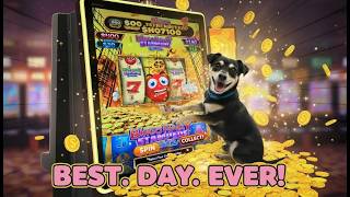 New to us Bingo Frenzy screenshot 3