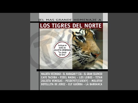 Watch the video for Un día a la vez