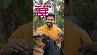 സ്പെഷ്യൽ ഫുഡ് തയ്യാറാക്കി. അവർ സന്തോഷത്തോടെ കഴിക്കുന്ന ആ നിമിഷം കാണാൻ തന്നെ ഒരു പ്രത്യേക സന്തോഷമാണ്
