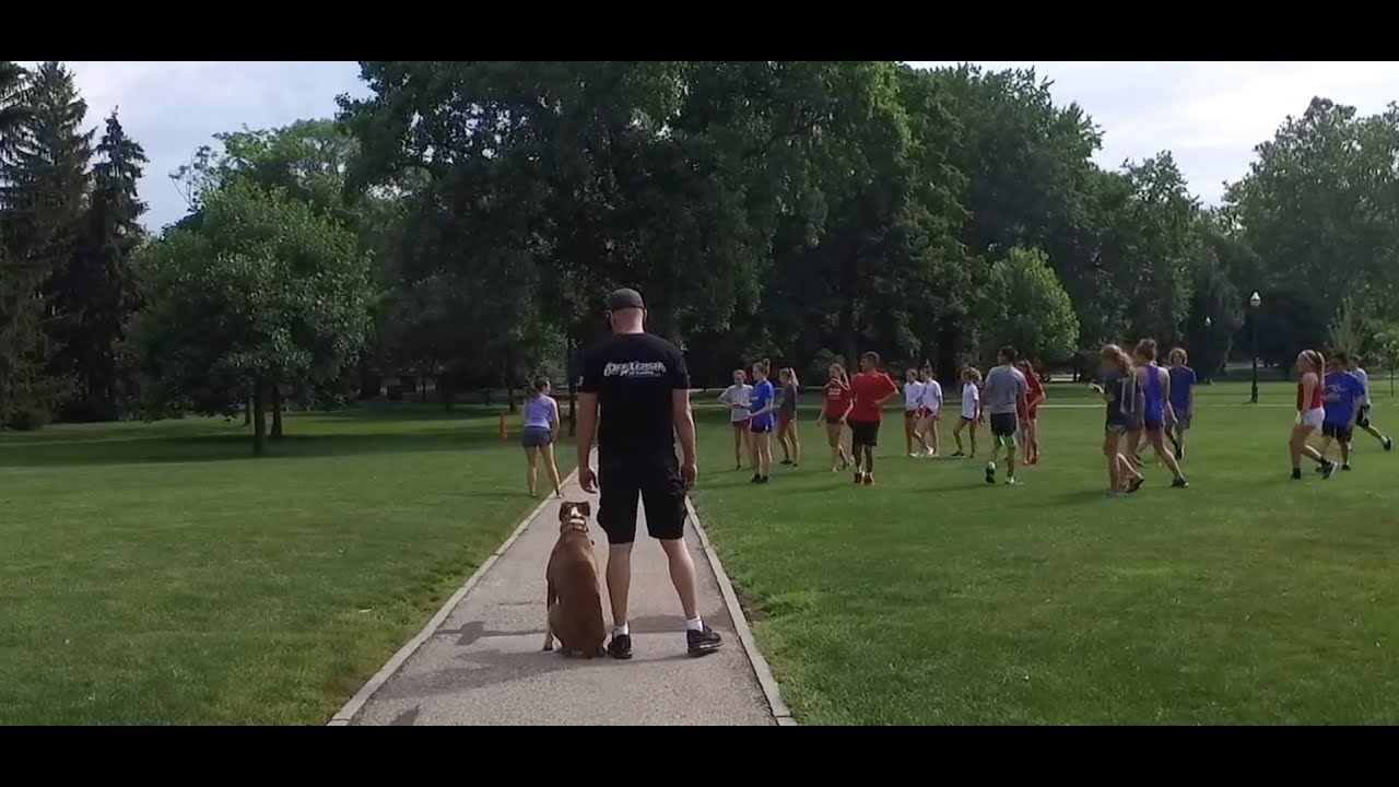 Best Dog Training in Columbus, Ohio! 3 Day Private Seminar with 9 Month