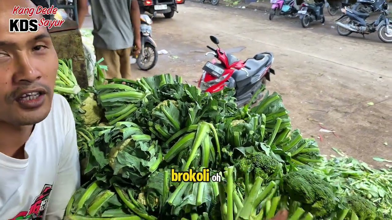 Cabe ada Kenaikan sayuran masih mahal 