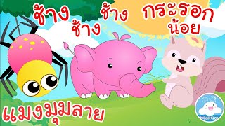เพลงแมงมมลาย เพลงชางๆๆ เพลงกระรอกนอย เพลงเดกนอยวยอนบาล