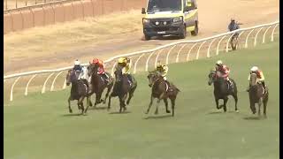RACE 1 - DUBBO - AUSTRALIA - 02 FEB 2026