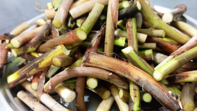 Semiz dumbali braziliyalik ayollar Anal jinsiy aloqa paytida mening anusim qon ketadi.