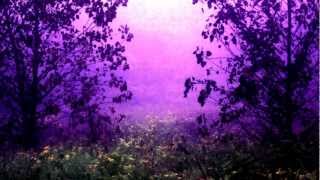 Wiz Khalifa - We Get High ft. A$AP Rocky & Curren$y