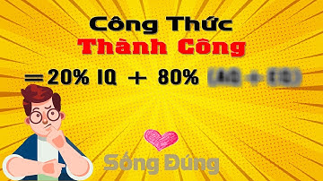 80% thành công không đến từ IQ ? |Sống Đúng|